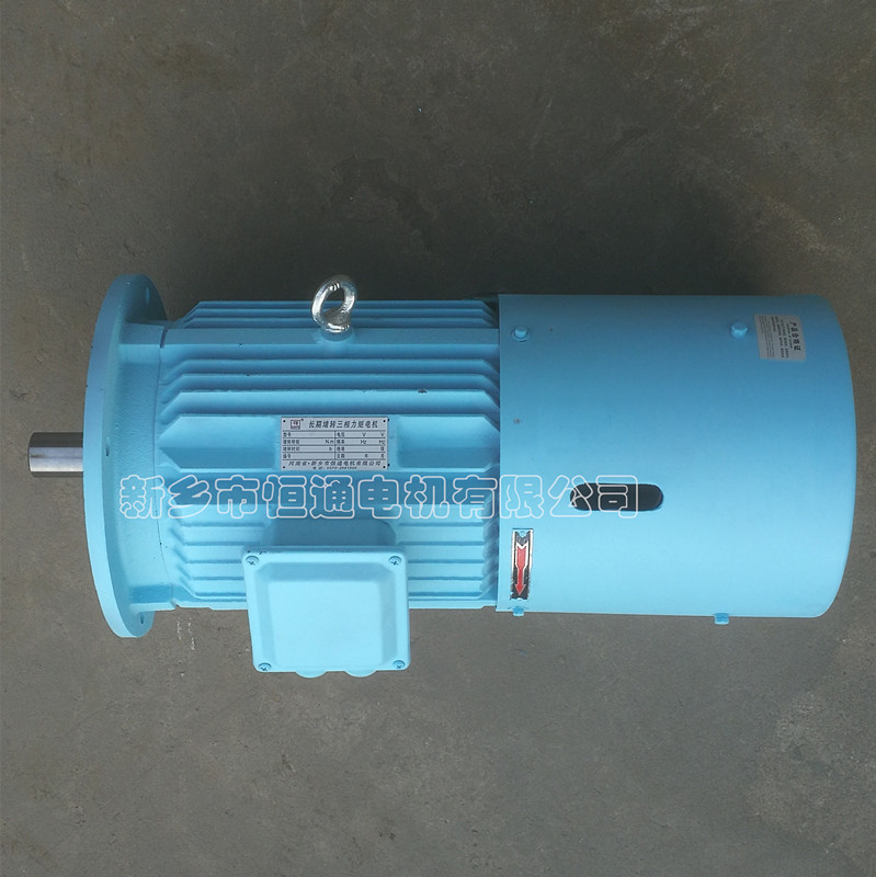 Long-term stall torque motor。
